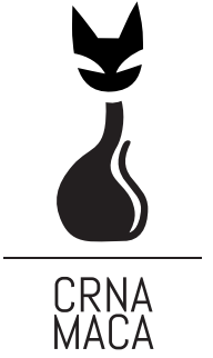 Screenshot 2023-11-04 070150